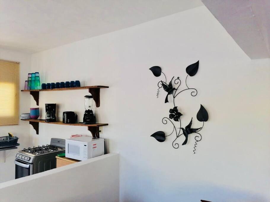 Hermosa Casa Tuxpan Con Aire Acondicionado 2Bed 1Bath 외부 사진